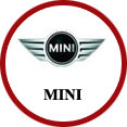 mini มิตรภาพแบตเตอรี่รถยนต์