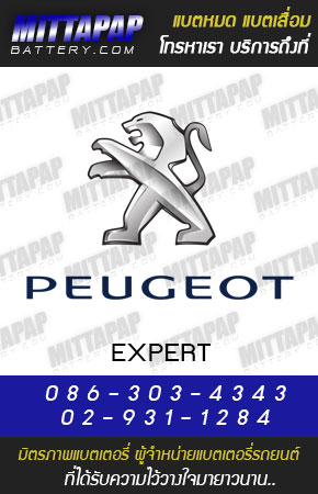 เปอร์โย รุ่น เอ็กซ์เปิร์ต (Peugeot EXPERT) ปี 09-12